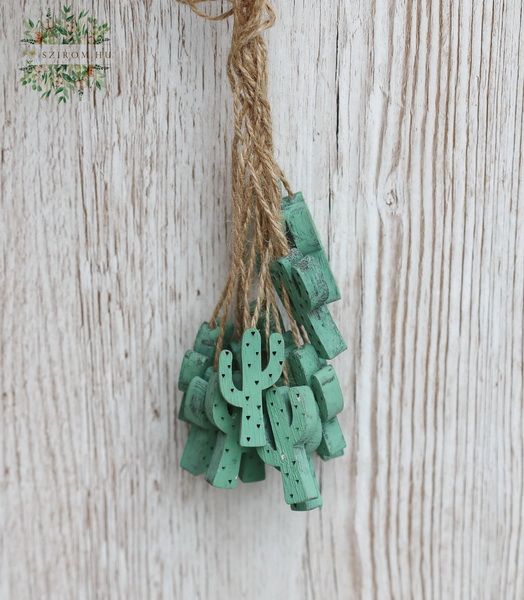 Cactus hanging decor