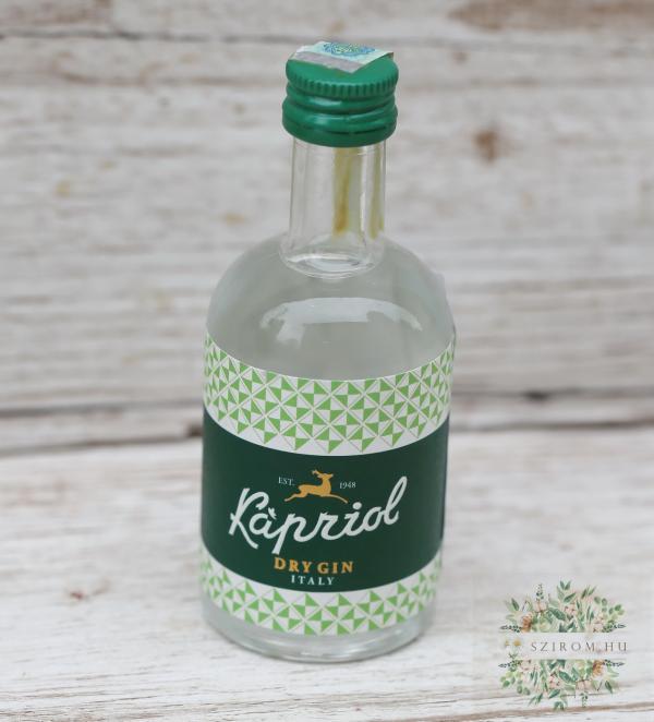 Kapriol Dry Gin 0,05l 41,7%