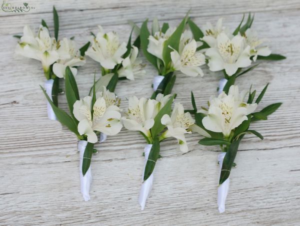 kitűző (alstromeria, fehér) 1 db