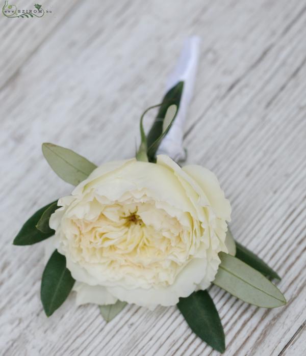 Boutonniere of david austin rose (cream)