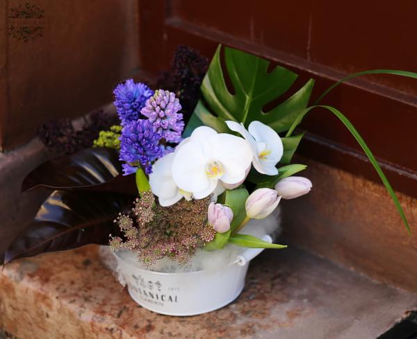 Saubere, moderne Blumenschale mit Tulpen, Hyazinthen, Orchideen und besonderen Blättern