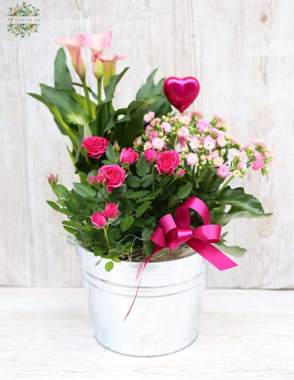 Flowering plant arrangement pink