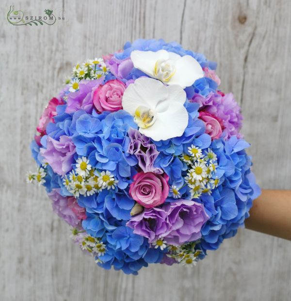 bridal bouquet (hydrangea, roses, phalaenopsis orchidea, chamomilla, purple, blue, white)