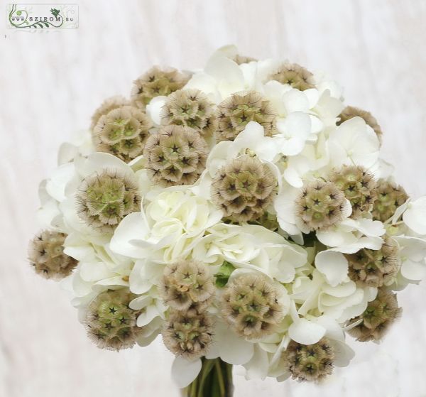 Menyasszonyi csokor (hortenzia, scabiosa, fehér, barna)