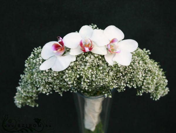 bridal bouquet (baby's beath, phalaenopsis orchid, white)