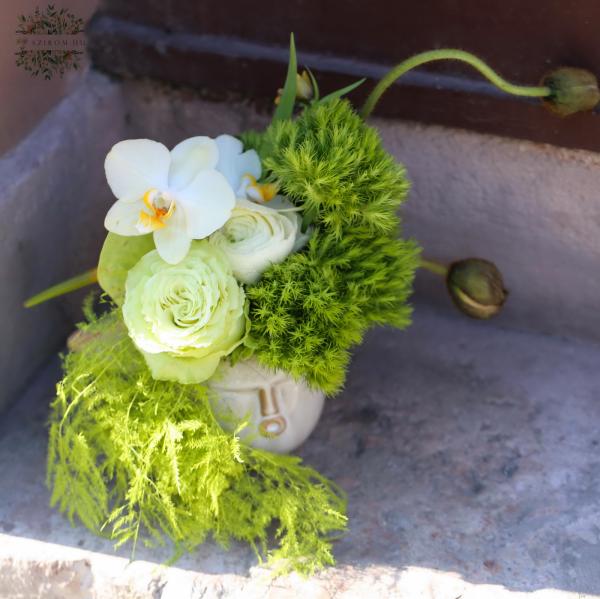 Modern green magic in a face-shaped planter