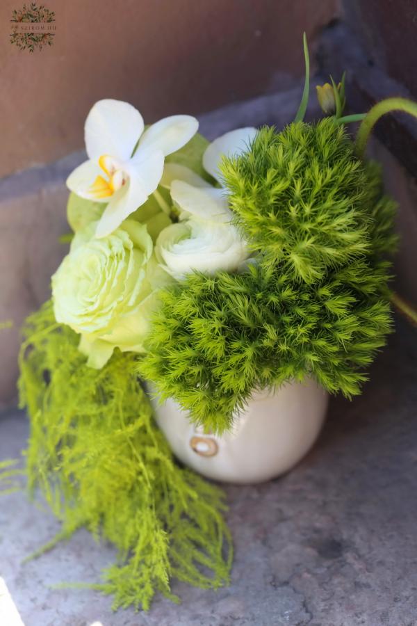 Modern green magic in a face-shaped planter