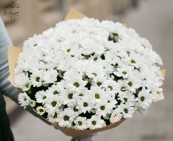 Weißer Chrysanthemenstrauß 20 Stiele