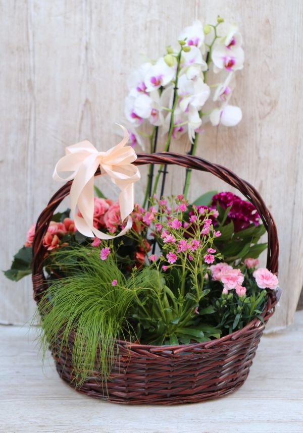Großer rosa Maikorb mit rosa Topfpflanzen, darunter eine Orchidee
