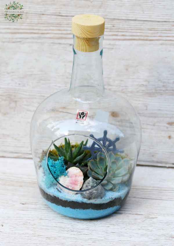 Summer florarium in bottle shape