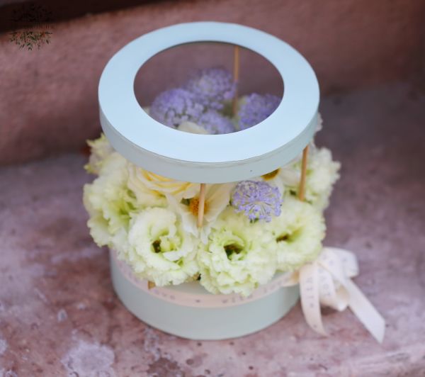 Sommer pastell Box