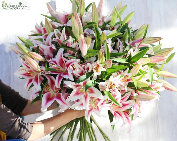 Riesen lilien blumenstrauß (25 Stämme)