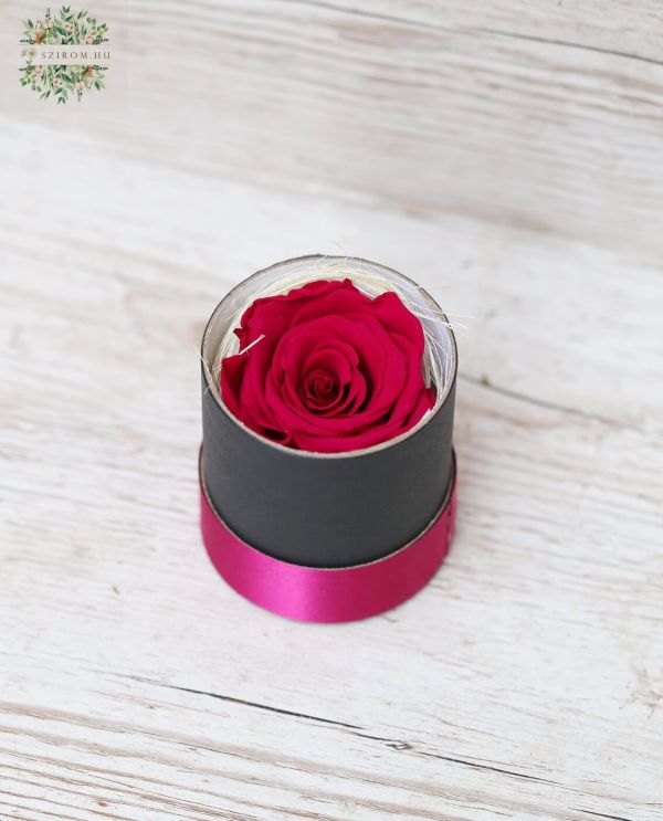 Forever Rose 1 Stiel in kleiner Box
