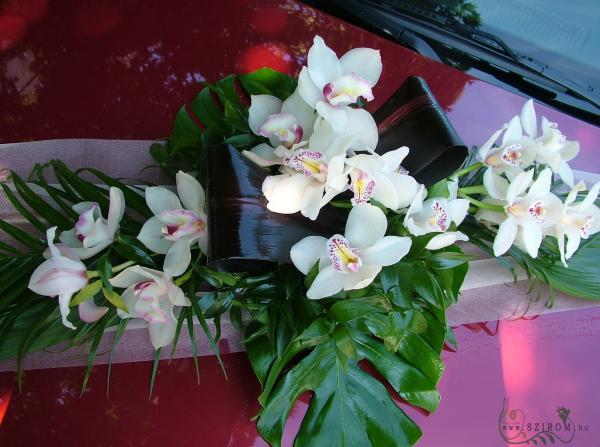 oval car flower arrangement with orchids (white)