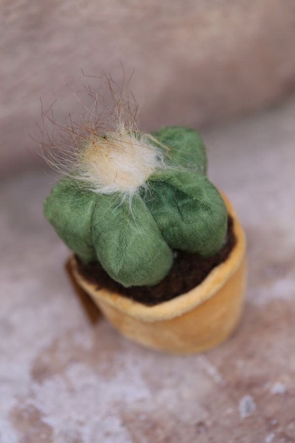 Plüsch Kaktus (14cm)