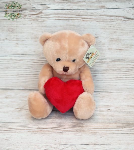 Plüsch Teddy mit Herz 14cm