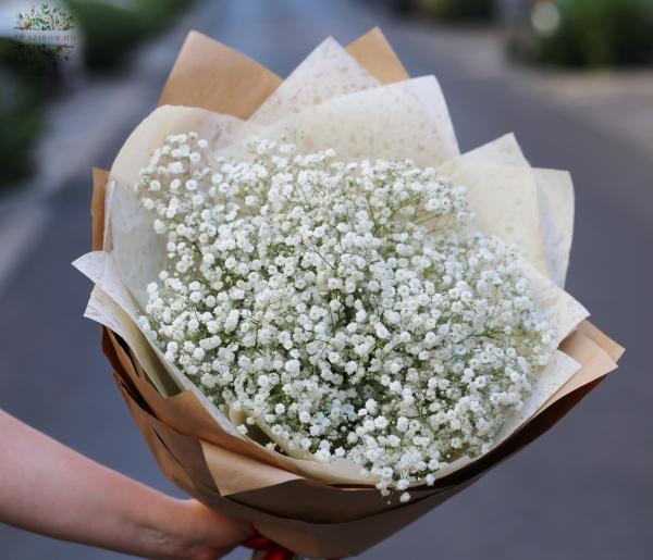 Gypsophila (babys breath ) bouquet (15 stems)