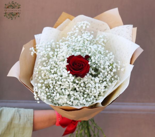 Gypsophila (babys breath ) bouquet with red rose (15 +1 stems)