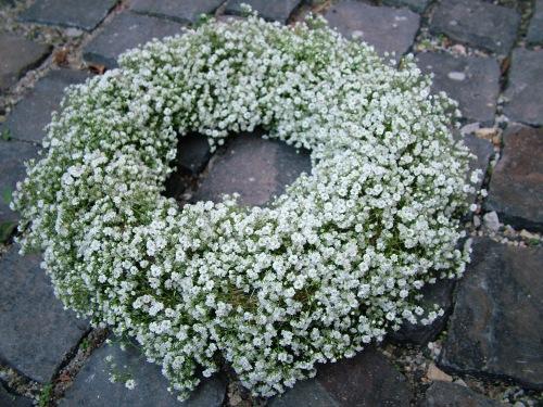 gypsophila wreath (35cm)