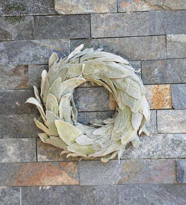 Dried bunnyears door werath 21cm