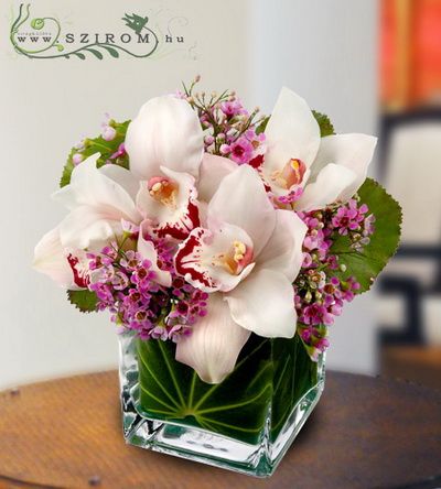 glass cube with orchids