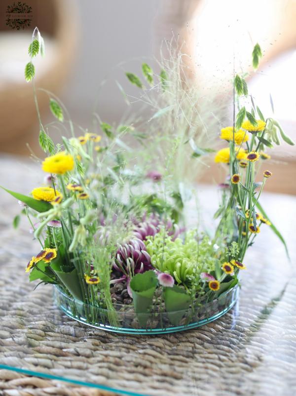 Glasschale mit luftigem Feldblumen, Kieselsteine ​​(20cm, Lila, Gelb, Chrisanthemum, Santini)