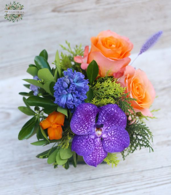 Happy summer glascube with coral roses and orchid 