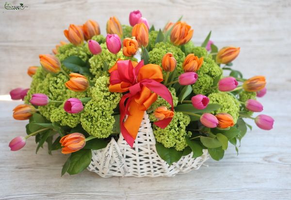 Blumenkorb von 40 Tulpen, mit saisonalen Grün