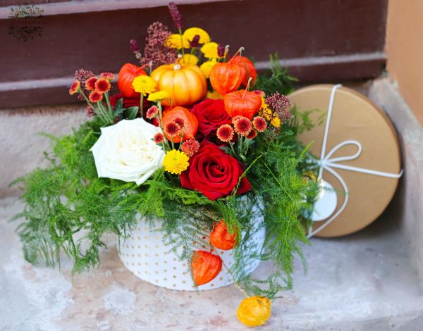 Herbstlicher Blumenbox mit Physalis, Lampions und Rosen