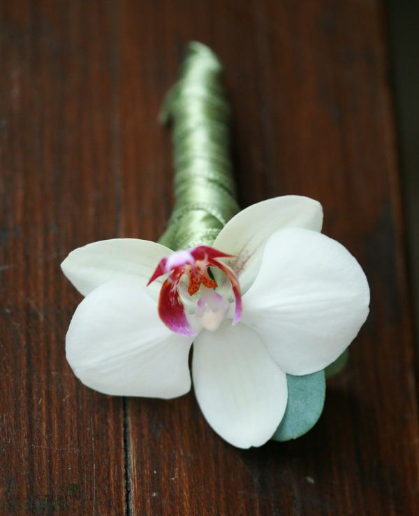 Boutonniere of phalaenopsis (white)