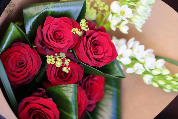 Red roses with ornithogalum in kraft paper cone (7 +2 stems)