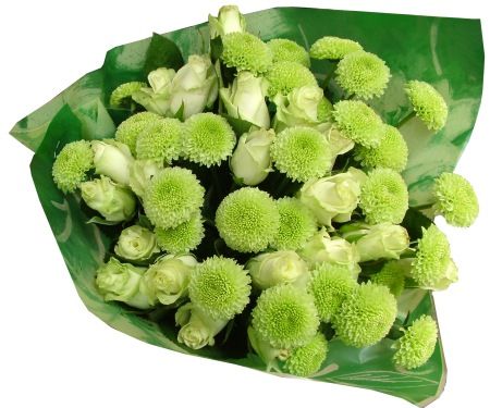 green bouquet of  roses and  pompoms  (25 stems)