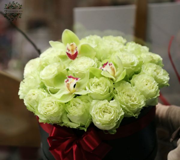 Green roses, orchids flowerbox (23 stems)
