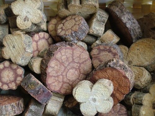 dried flowers (1 pack)