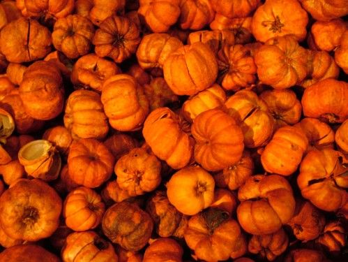 dried flowers (1 pack)