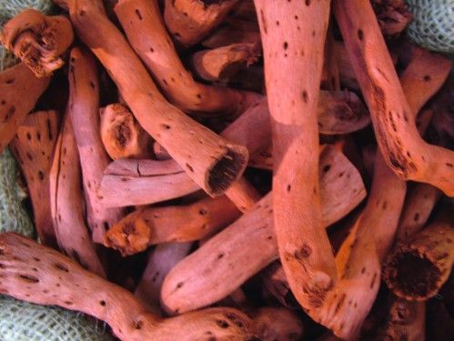 dried flowers (1 pack)