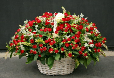 flower delivery Budapest - 70 spray red roses in a basket 1m