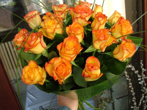 Blumenlieferung nach Budapest - 20 Orange zweifarbige Rosen