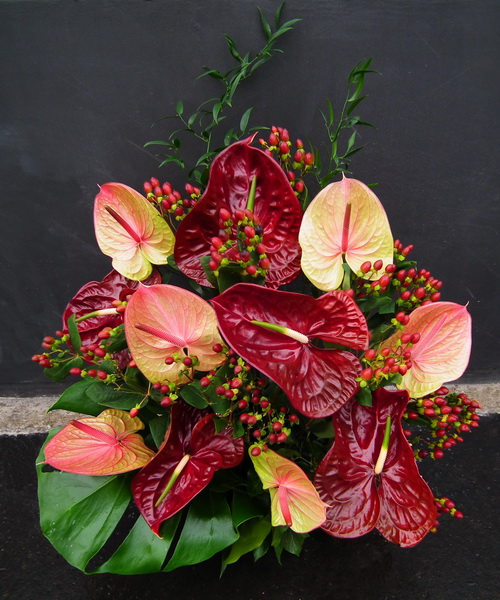 Blumenlieferung nach Budapest - 11 Flamingoblumen und 10 Hypericum Beeren