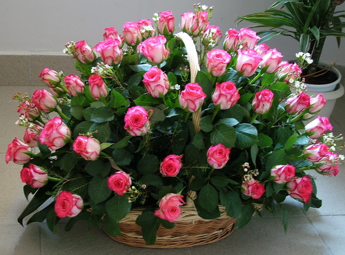 flower delivery Budapest - 60 pink roses in a basket (70cm)
