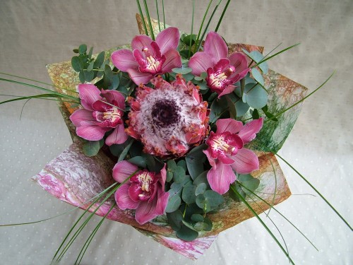 flower delivery Budapest - protea with orchids and eucaliptus