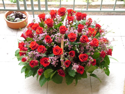 flower delivery Budapest - basket of 60 red roses and 15 waxflower