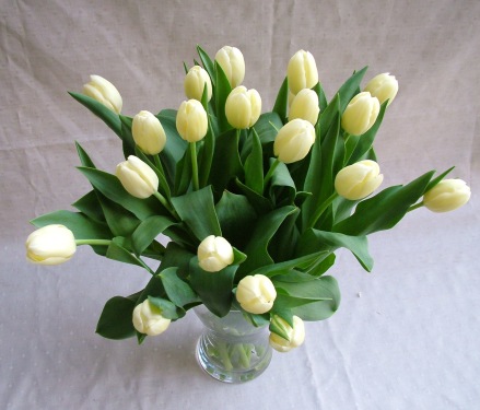 Blumenlieferung nach Budapest - 20 Tulpen in einer Vase