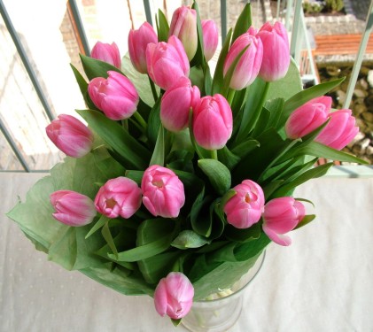 Virágküldés Budapest - 20 szál tulipán csokorban
