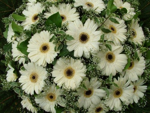 flower delivery Budapest - dome wreath with gerberas (1 m)