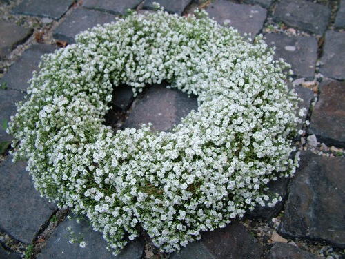 flower delivery Budapest - gypsophila wreath (35cm)