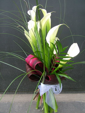 flower delivery Budapest - bouquet of 10 white callas (50 cm)