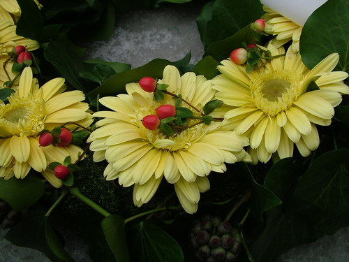 flower delivery Budapest - gerbera wreath with hypericum<br>(40cm)