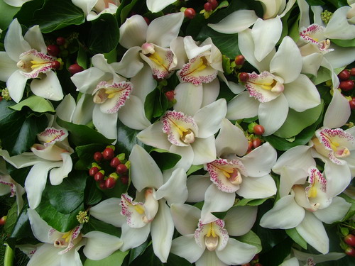 flower delivery Budapest - big standing wreath with callas, orchids and hypericums (1m)
