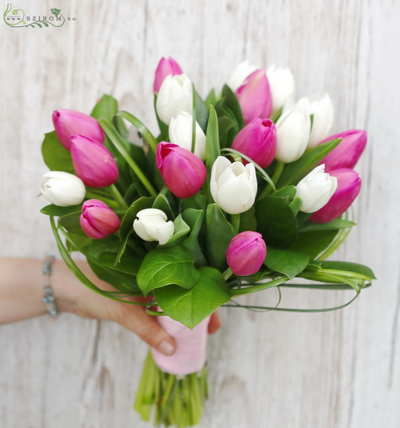 Blumenlieferung nach Budapest - Rosa und weiße Tulpen in einem runden Bouquet, 20 Stängel